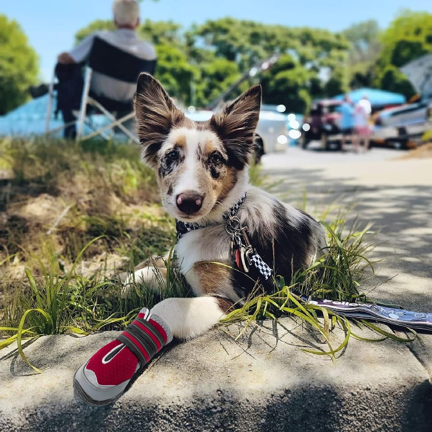 2PCS Dog Boots for Large Dogs, Medium Dog Shoes & Paw Protectors for Hot Pavement, Summer Heat Protection, Mesh Breathable Nonslip Dog Booties for Hardfloors, Walking Running Hiking Red Size 2
